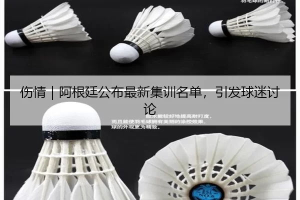 伤情｜阿根廷公布最新集训名单，引发球迷讨论